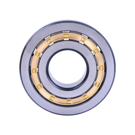Bdl Cylindrical Roller Bearing – High Quality, Hot Sale