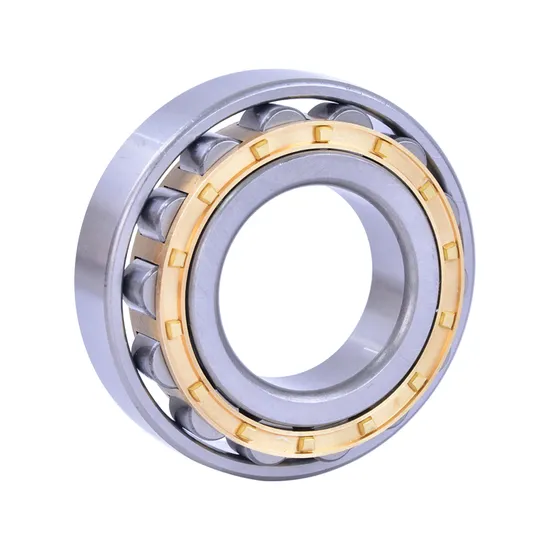 Bdl-Cylindrical-Roller-Bearing-Nup305-Cylindrical-Roller-Bearing-for-Medium-and-Large-Motor