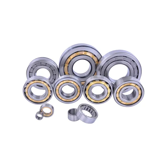 Bdl-Cylindrical-Roller-Bearing-Nup305e-Cylindrical-Roller-Bearing-for-Machine-Tool-Spindle