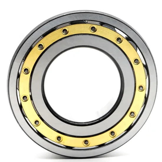 Bdl-Nu2240-Direct-Supply-Cylindrical-Roller-Bearing-for-Machine-Tool-Spindle