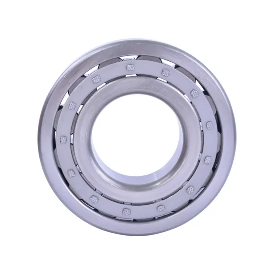 Bdl-Single-Row-Cylindrical-Cross-Roller-Bearing-N203