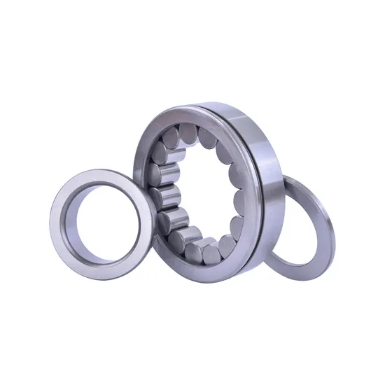 Bdl-Single-Row-Cylindrical-Cross-Roller-Bearing-N203