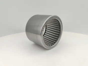 High Quality SN66/CSN66 Needle Roller Bearing