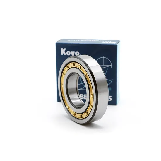 Koyo-Timken-NSK-Roller-Bearing-N321em-N322em-N324em-Cylindrical-Roller-Bearing