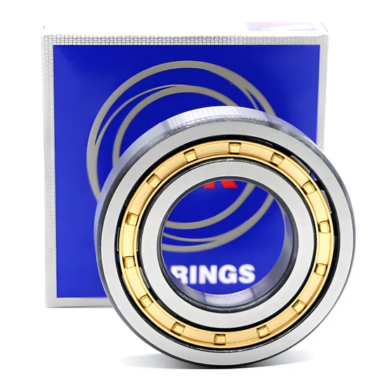 NSK-Chrome-Steel-NF305-Nj305-Nj305-C3-Nj305e-Nj305etn1-Cylindrical-Roller-Bearing