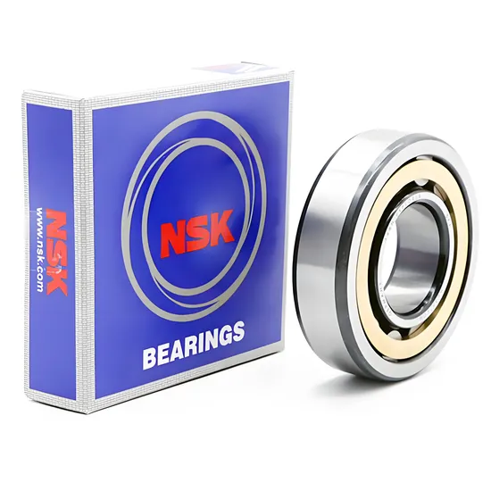 NSK-Koyo-NTN-Roller-Bearing-NF303em-NF304em-NF305em-Cylindrical-Roller-Bearing