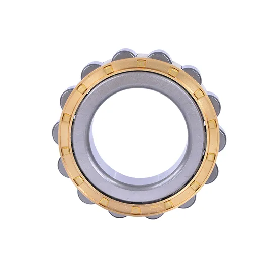 NSK-Single-Row-Cylindrical-Roller-Bearing-Nup307