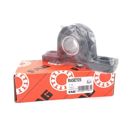 OEM ODM Stainless Steel Pillow Block Bearing P/F/Fs/FC/FL/CT